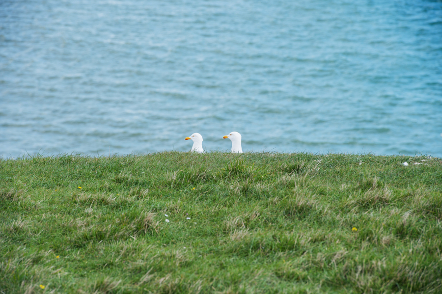 UK_Seven Sisters19